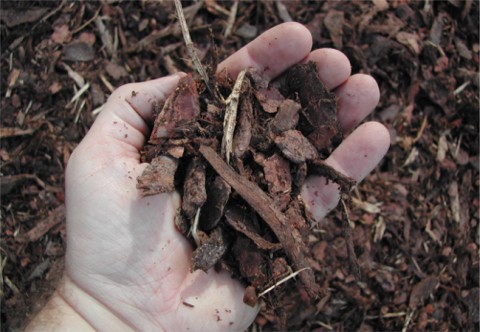 Rindenmulch in geeigneter Struktur und Feuchtigkeit.