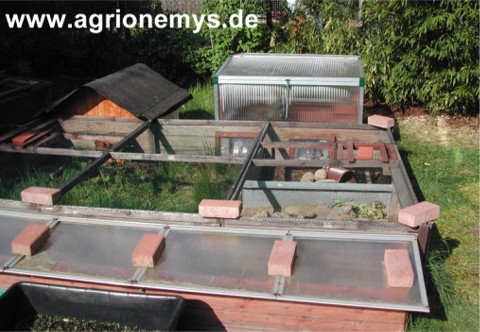 Freianlage 1 mit FT4 Fr�hbeet (2004).